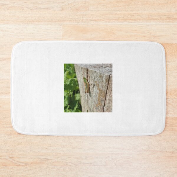 Item preview, Green Grasshopper on Wooden Log designed and sold by Brimwood.