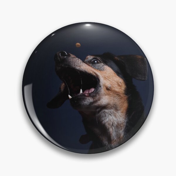 Item preview, Dog catches kibble studio designed and sold by LN-Dalbin.