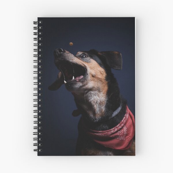 Item preview, Dog catches kibble studio designed and sold by LN-Dalbin.