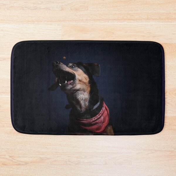 Item preview, Dog catches kibble studio designed and sold by LN-Dalbin.