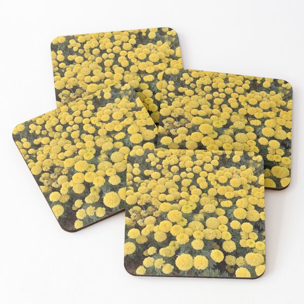 Item preview, bulk health marigold designed and sold by basitcv.