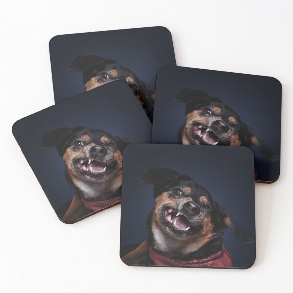 Item preview, Dog catches kibble studio designed and sold by LN-Dalbin.