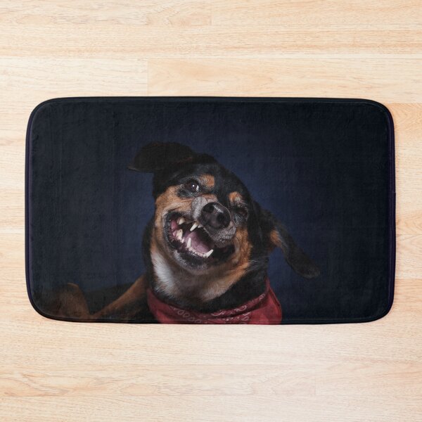 Item preview, Dog catches kibble studio designed and sold by LN-Dalbin.
