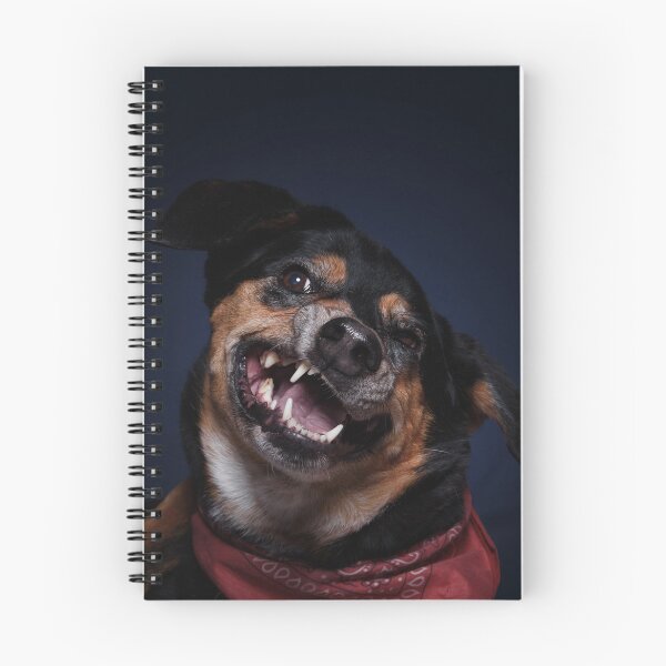 Item preview, Dog catches kibble studio designed and sold by LN-Dalbin.
