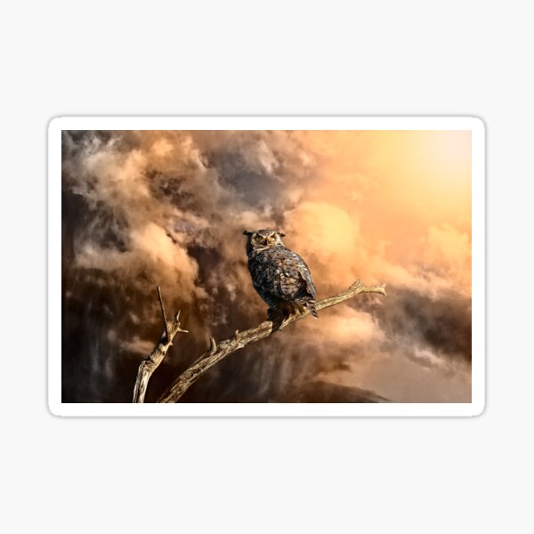 Coming Storm - Color Sticker