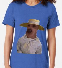 Scooby Doo Plane Disguise Tri-blend T-Shirt