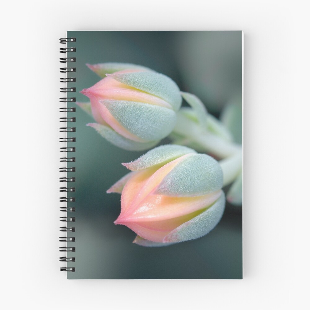 Vista previa del artículo con la obra «Cuaderno de espiral», diseñado y vendido por Sylvan.