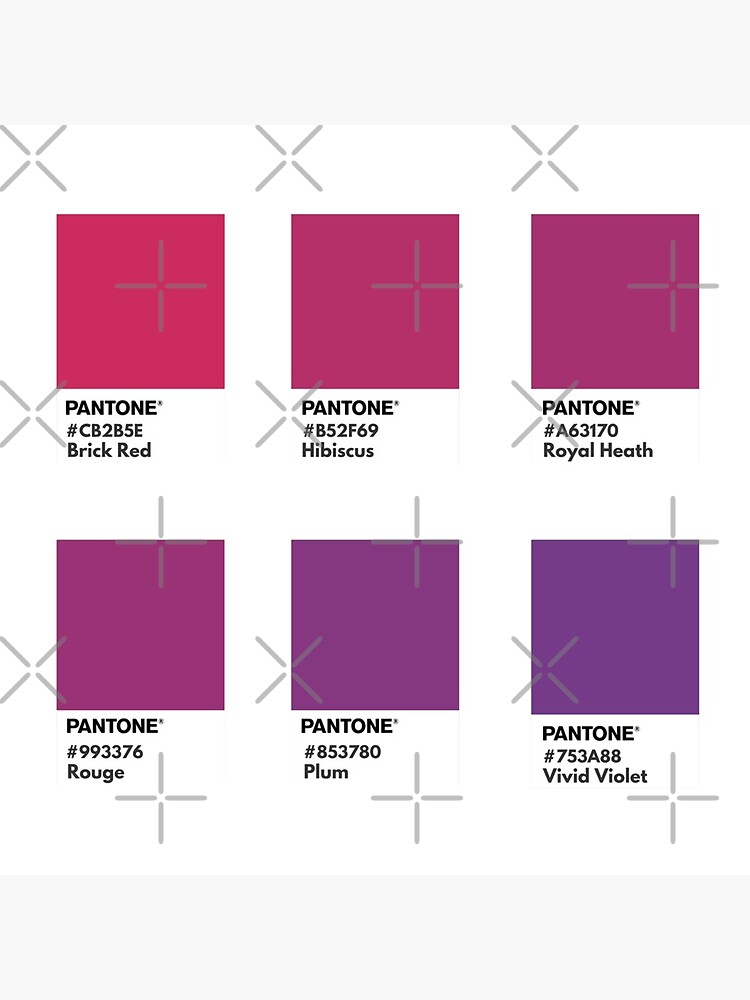 Pantone Barely Pink  Pantone pink, Pantone colour palettes, Pantone  swatches
