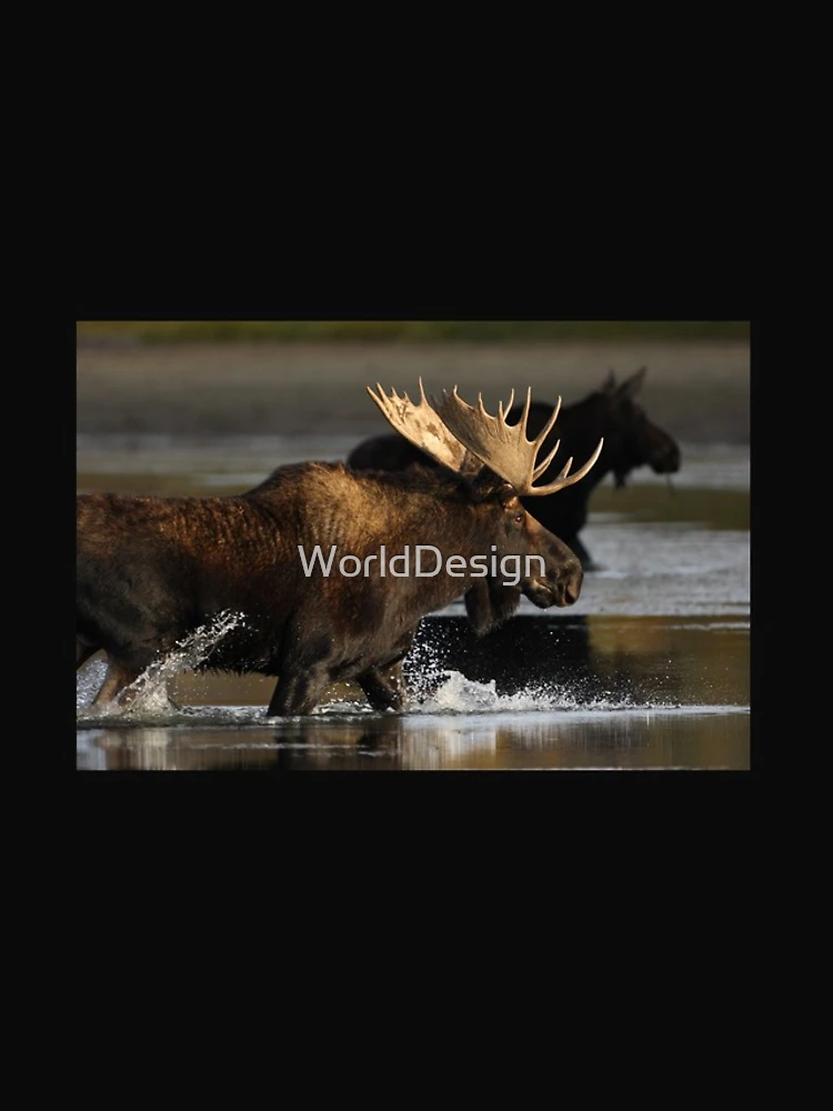 Thumbnail 4 of 4, iPhone Case, Splash designed and sold by WorldDesign.