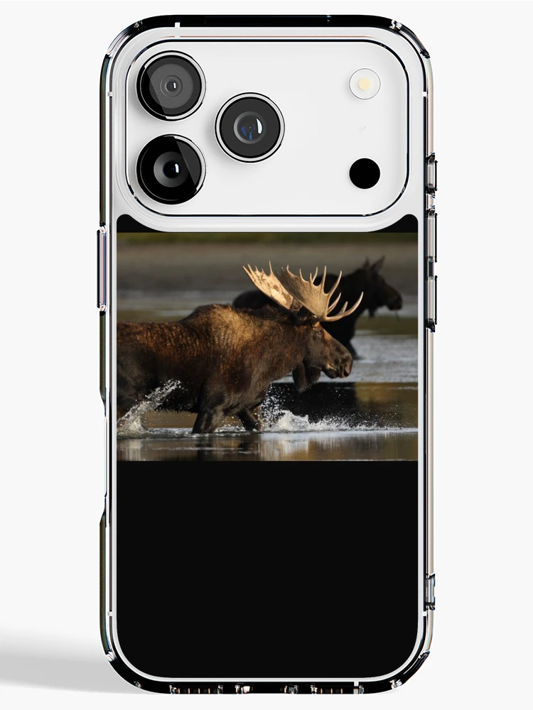 Thumbnail 1 of 5, iPhone Case, Splash designed and sold by WorldDesign.