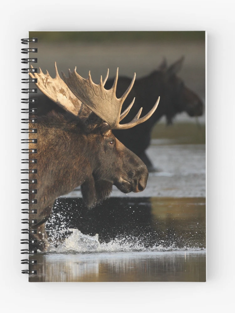 Thumbnail 1 of 3, Journal, Splash designed and sold by WorldDesign.