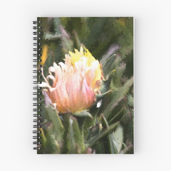 Item preview, Softness designed and sold by Marylou Badeaux.