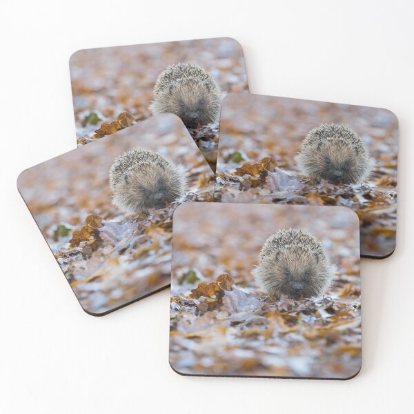 Item preview, Little Hedgie designed and sold by Tony Skerl.
