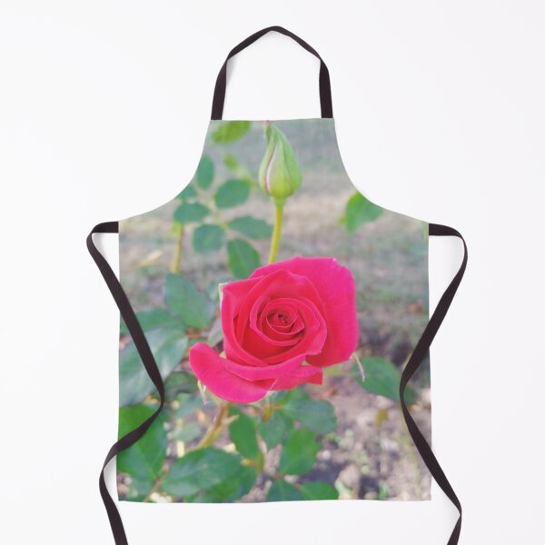 Item preview, Beautiful red rose and a bud designed and sold by helenkaiy.