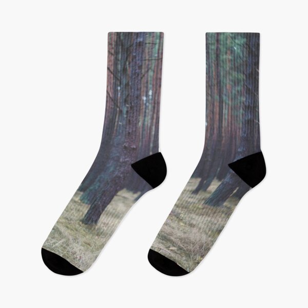Item preview, Road through the Forest designed and sold by Damian Strzechowski.