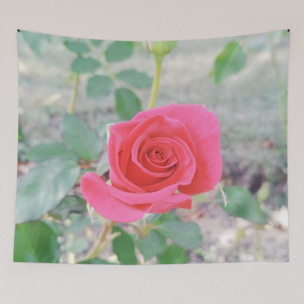 Item preview, Beautiful red rose and a bud designed and sold by helenkaiy.