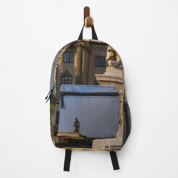Item preview, Alexander von Humboldt in front of the Humboldt University Berlin designed and sold by reisefoto.
