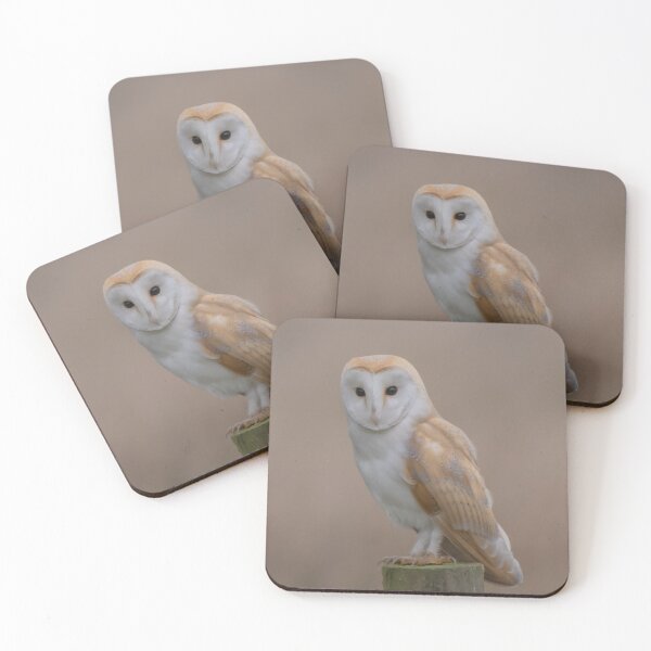 Item preview, barn owl designed and sold by tammy mellor.