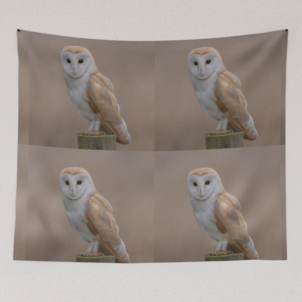 Item preview, barn owl designed and sold by tammy mellor.