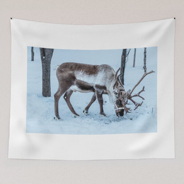 Item preview, Reno en la nieve designed and sold by Wendy Williams.