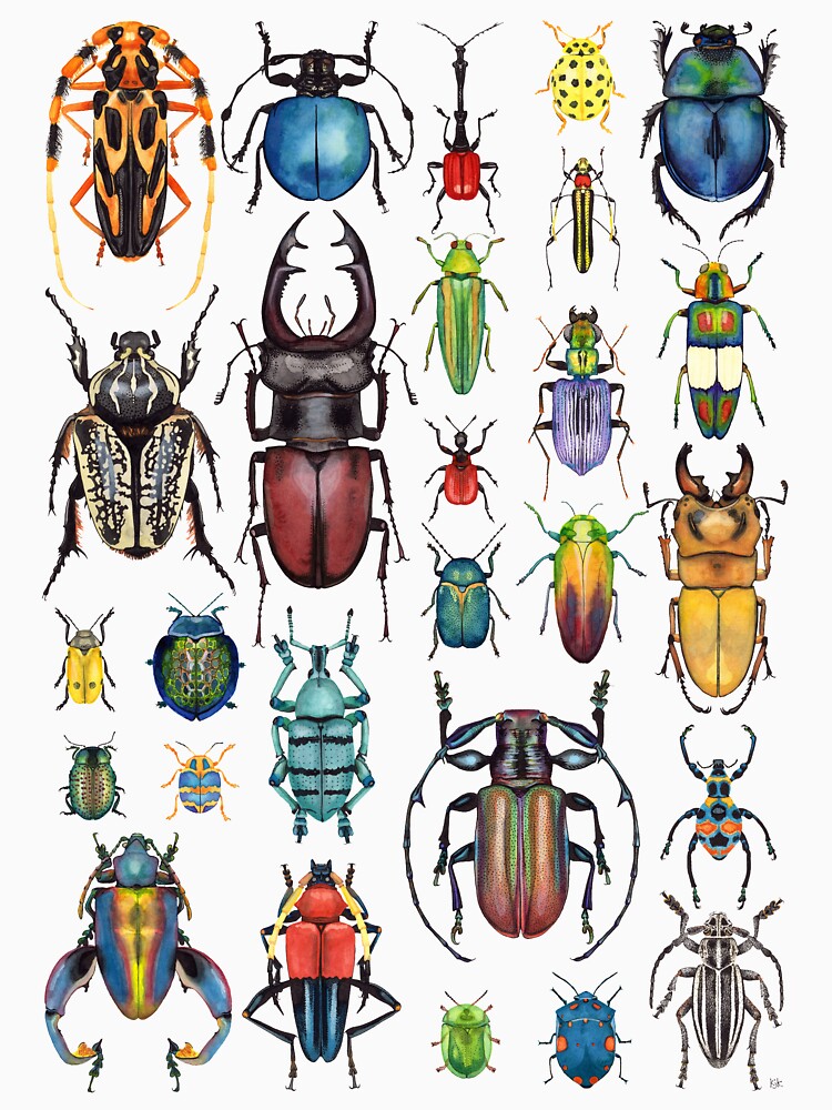 Beetle Collection by KellyJadeART