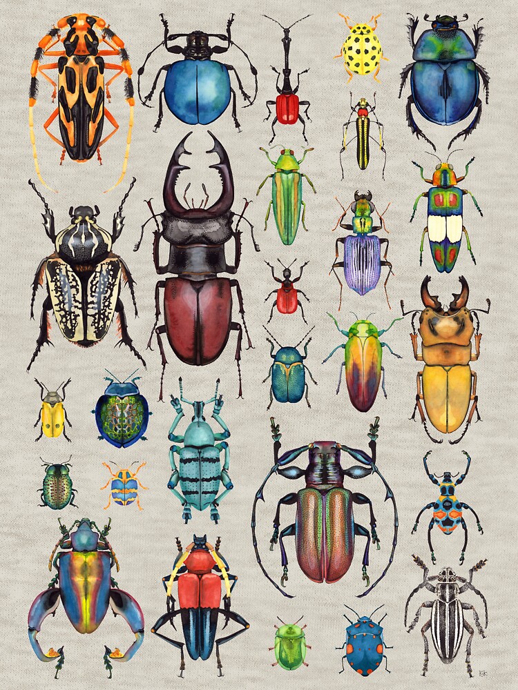 Beetle Collection by KellyJadeART