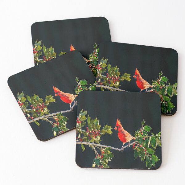 Item preview, Cardinal on Holly designed and sold by kash1mera.