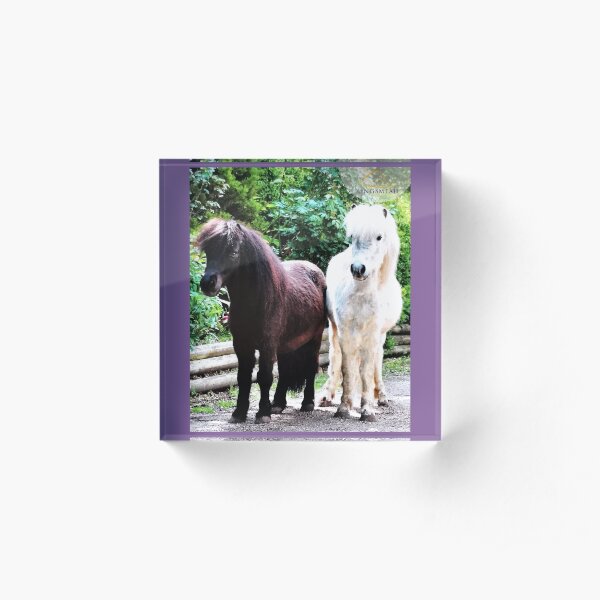 Joey and Gizmo's Collection Acrylic Block