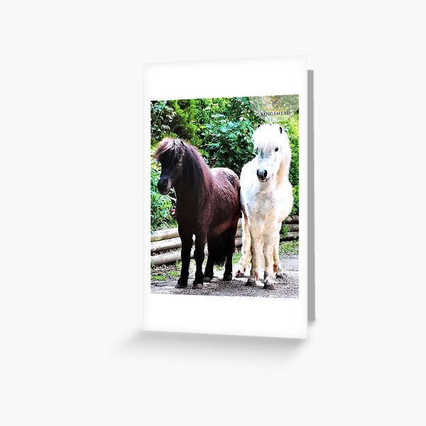 Joey and Gizmo's Collection Greeting Card