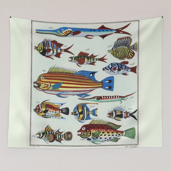 Item preview, Fish Illustration (vintage) 1800s designed and sold by CRHerrera.