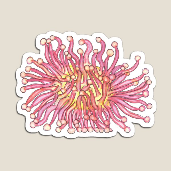 Item preview, Anemone Starts with A Ocean Alphabet Animals designed and sold by erinbelkin.