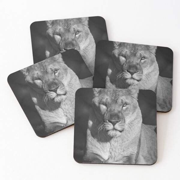 Item preview, Scar! designed and sold by PhotographMassa.