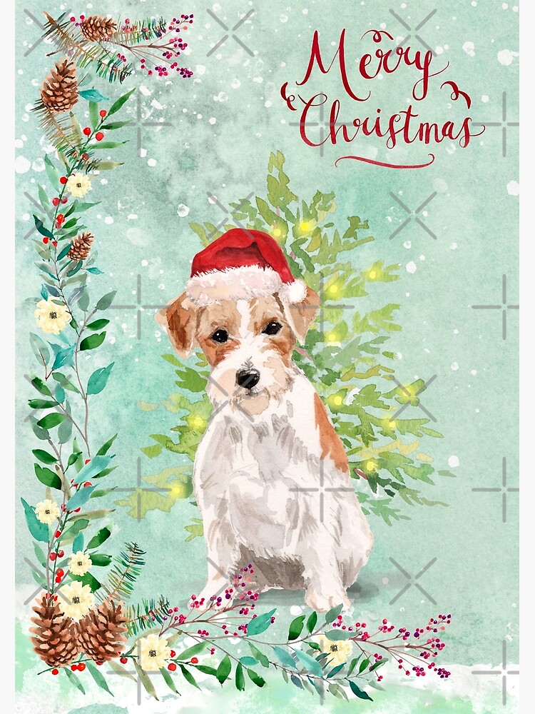 Merry Christmas Jack Russell Jack Russell Terrier On The Candy