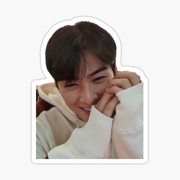 Cha eun woo astro member  Sticker for Sale by Divya21