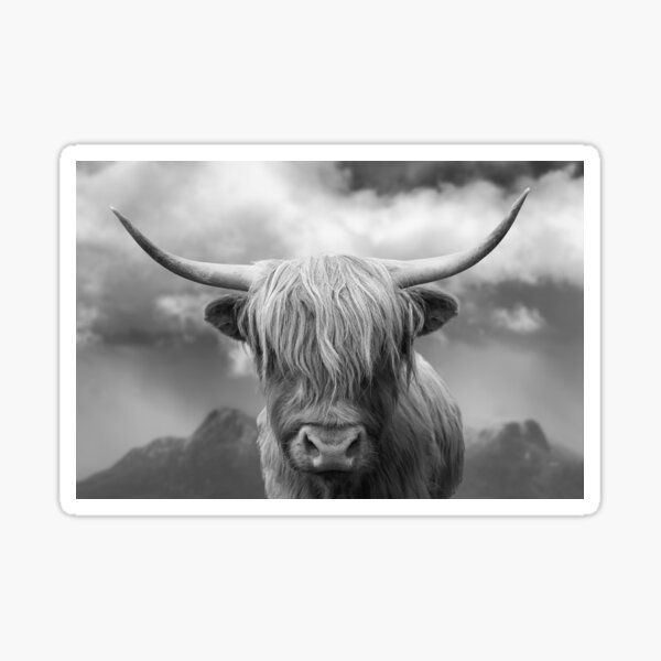 Item preview, Scottish Highland Cow designed and sold by Grant Glendinning.