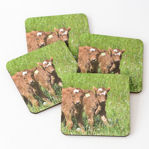 Item preview, Calves designed and sold by Glineur.