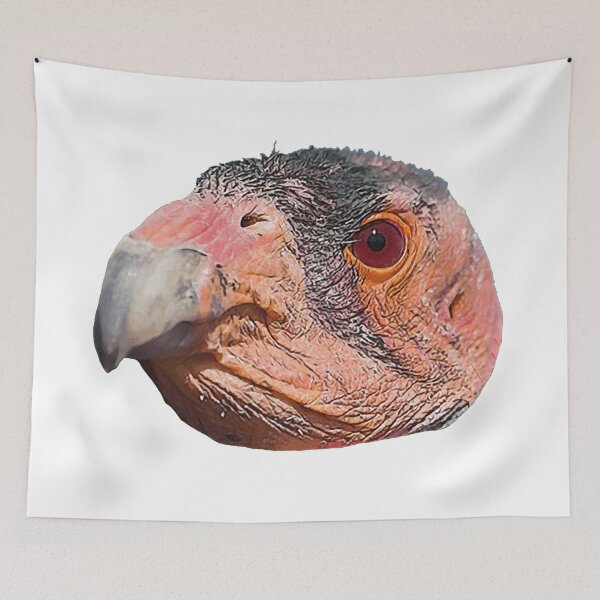 Artikelvorschau, California Condor Vulture Bird Terribly Ugly Fat Neck entworfen und verkauft von SlightUser.