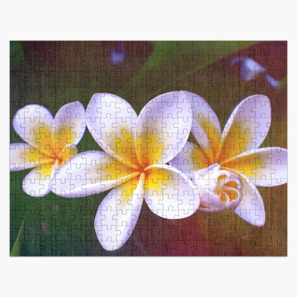 Fragrant Frangipani Jigsaw Puzzle