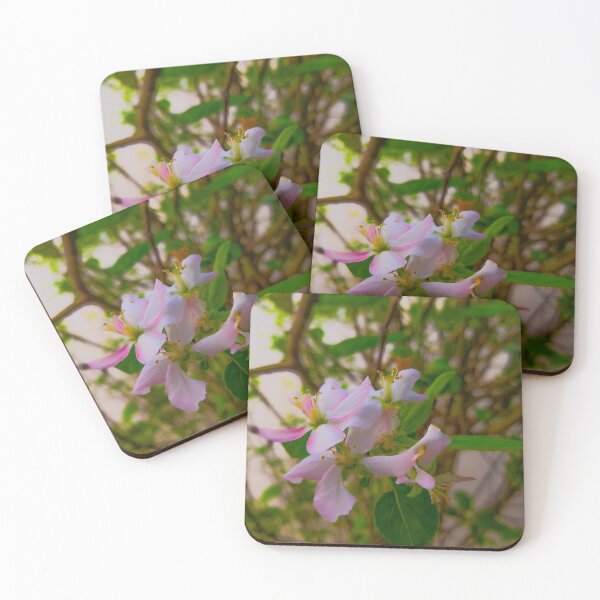 Item preview, Pink and white flowers designed and sold by CSouissi.