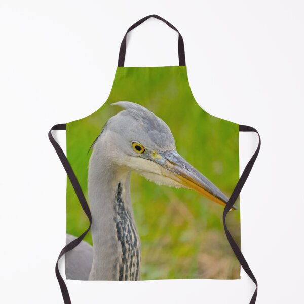 Item preview, Close-up of a juvenile grey heron designed and sold by xophotography.