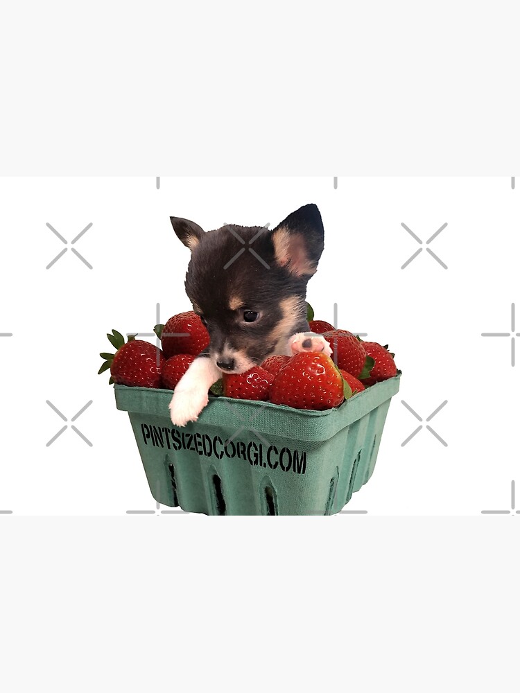 Thumbnail 4 of 4, Zipper Pouch, Pint-Sized Strawberry Corgi designed and sold by Jowcica.
