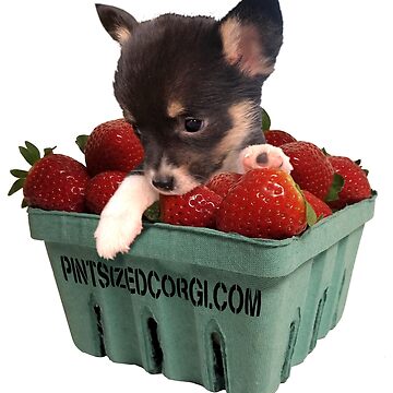 Artwork thumbnail, Pint-Sized Strawberry Corgi by Pint Sized Corgi