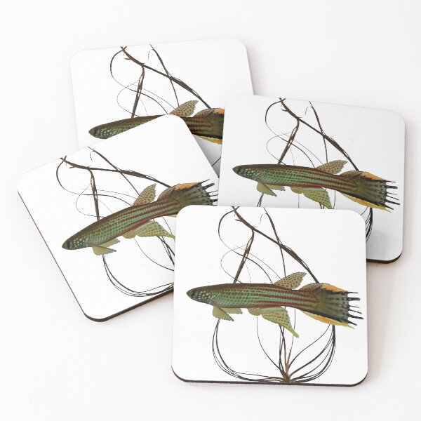 Item preview, Renova oscari killifish and crypt designed and sold by killies.