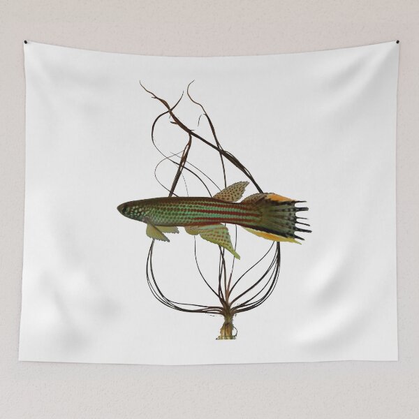 Item preview, Renova oscari killifish and crypt designed and sold by killies.