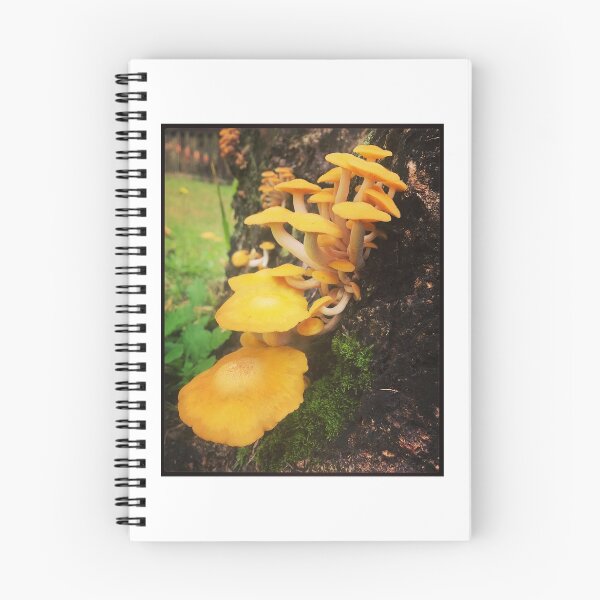 Item preview, Mushroom Cluster designed and sold by Sk8Legged.