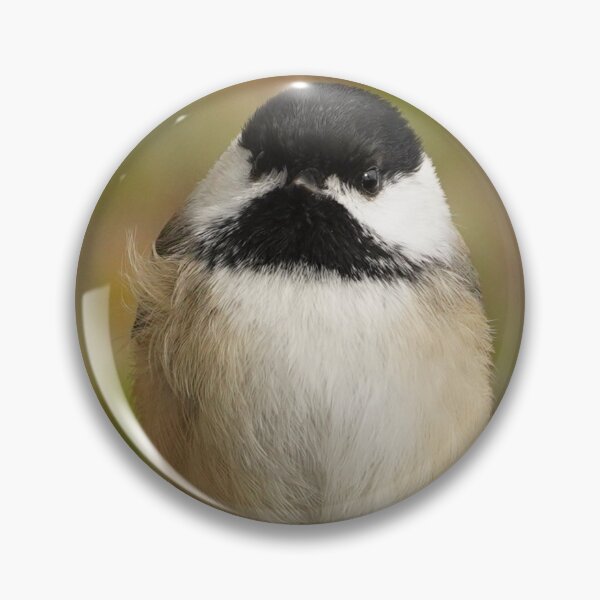 Item preview, A Chickadee Borb designed and sold by acwb.