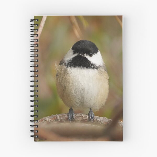 Item preview, A Chickadee Borb designed and sold by acwb.