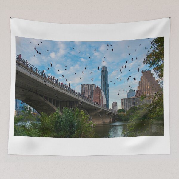 Item preview, Austin Texas Congress Avenue Bridge Bats designed and sold by oz10.