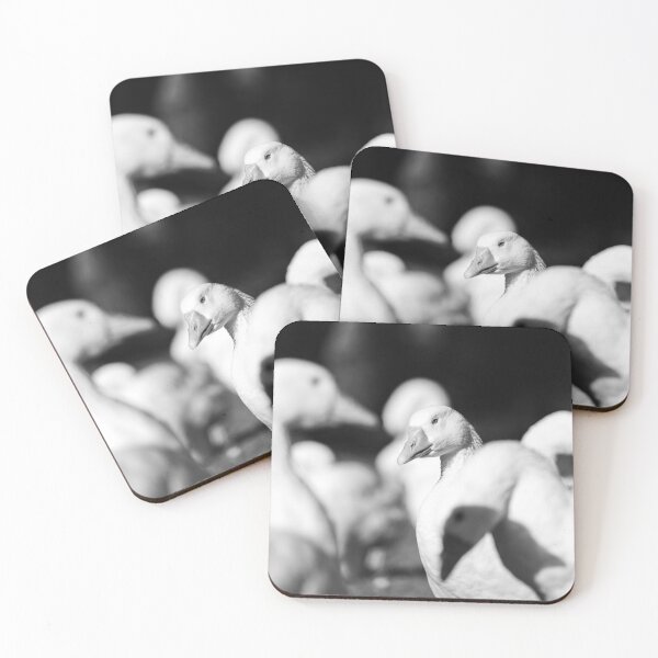 Item preview, Geese designed and sold by Imogencandler.