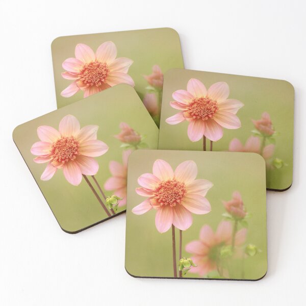 Item preview, Dazzling dahlias designed and sold by miradorpictures.